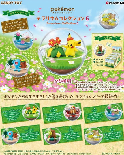 Pokemon - Terrarium Collection 6 - JAPAN EXCLUSIVE - Wobbuffet