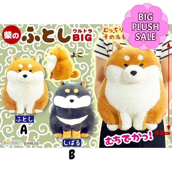 Shiba Futoshi Chunky Sitting Dog Big Plush 42cm (AMUSE)