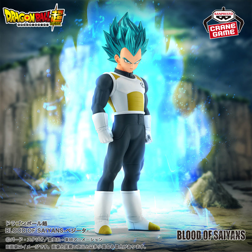 Dragon Ball Super - Vegeta Blood of Saiyans Figure 17cm (BANPRESTO)