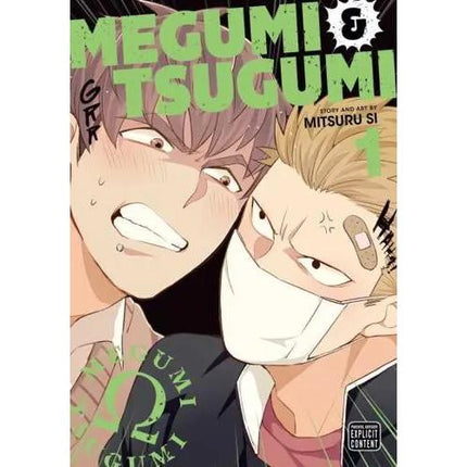 Megumi & Tsugumi - Manga Books (YAOI) (SELECT VOLUME)