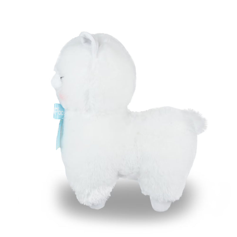 Amuse: Shiro-Chan Ribbon White Alpaca Plush 35cm (AMUSE)