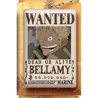 One Piece - Wanted Plate Keychain Capsule (Select Character) (BANDAI)