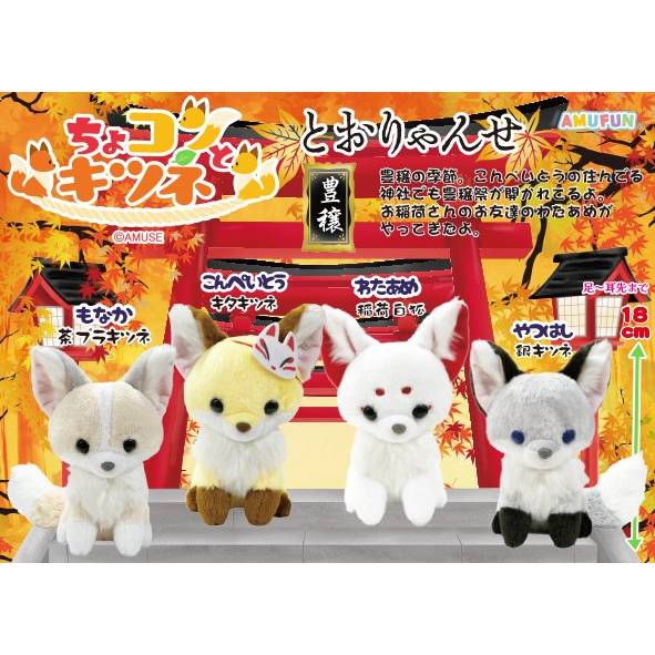 Amuse - Chokon Fox Plush 18cm (AMUSE)