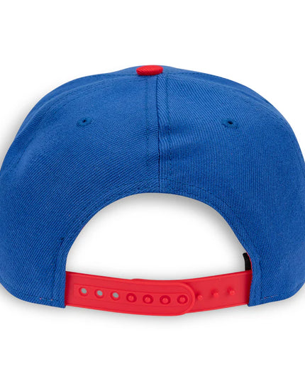 Sonic Kanji Pre-Curved Bill Snapback Cap (BIOWORLD)