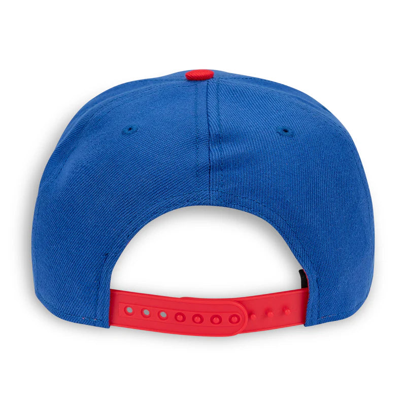 Sonic Kanji Pre-Curved Bill Snapback Cap (BIOWORLD)