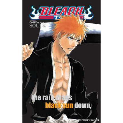 Bleach Souls Manga Book