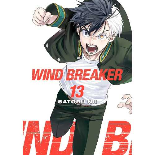 WIND BREAKER Manga Books (SELECT VOLUME)