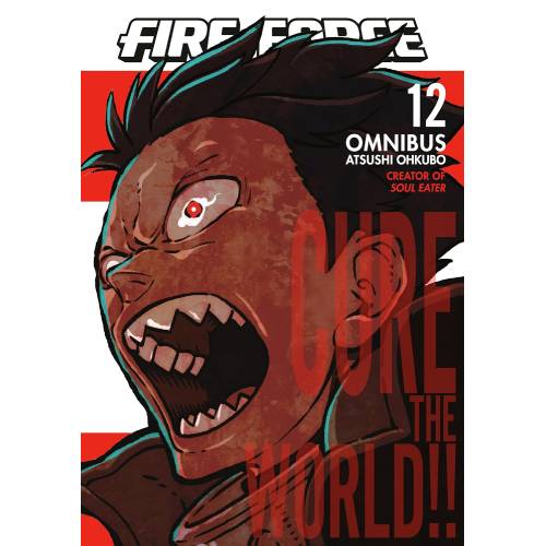 Fire Force Omnibus Manga Books (SELECT VOLUME)