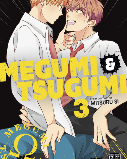 Megumi & Tsugumi - Manga Books (YAOI) (SELECT VOLUME)