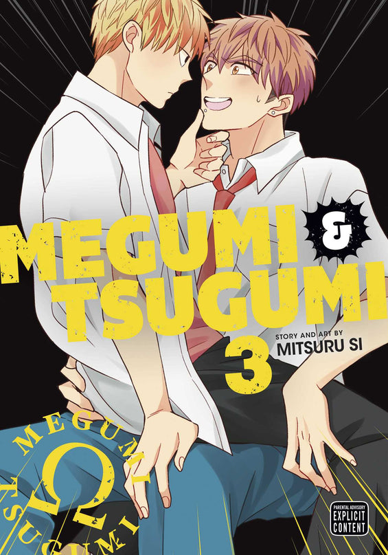 Megumi & Tsugumi - Manga Books (YAOI) (SELECT VOLUME)
